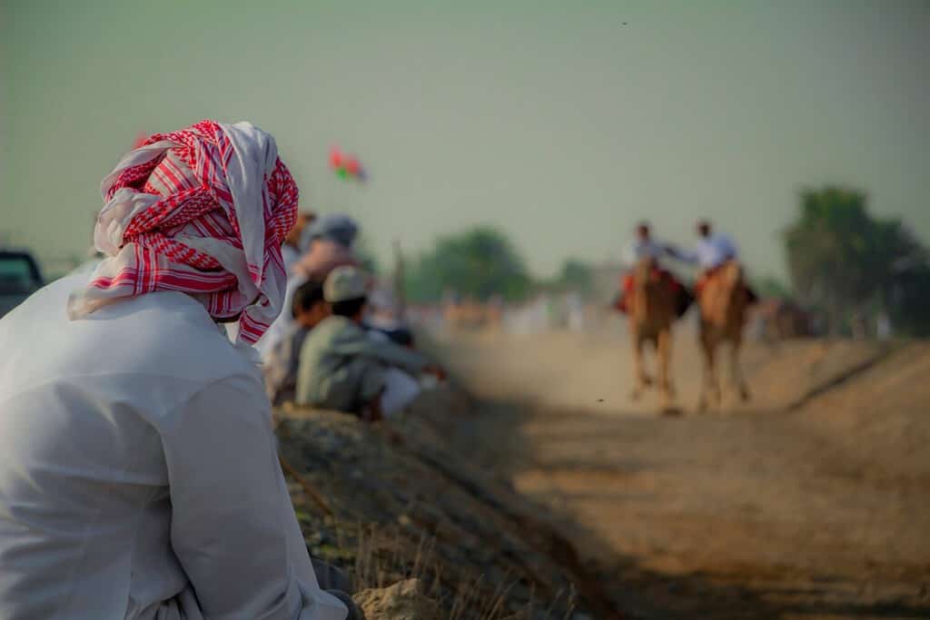 Spectating traditional omani camel-race at Ibri, Oman.