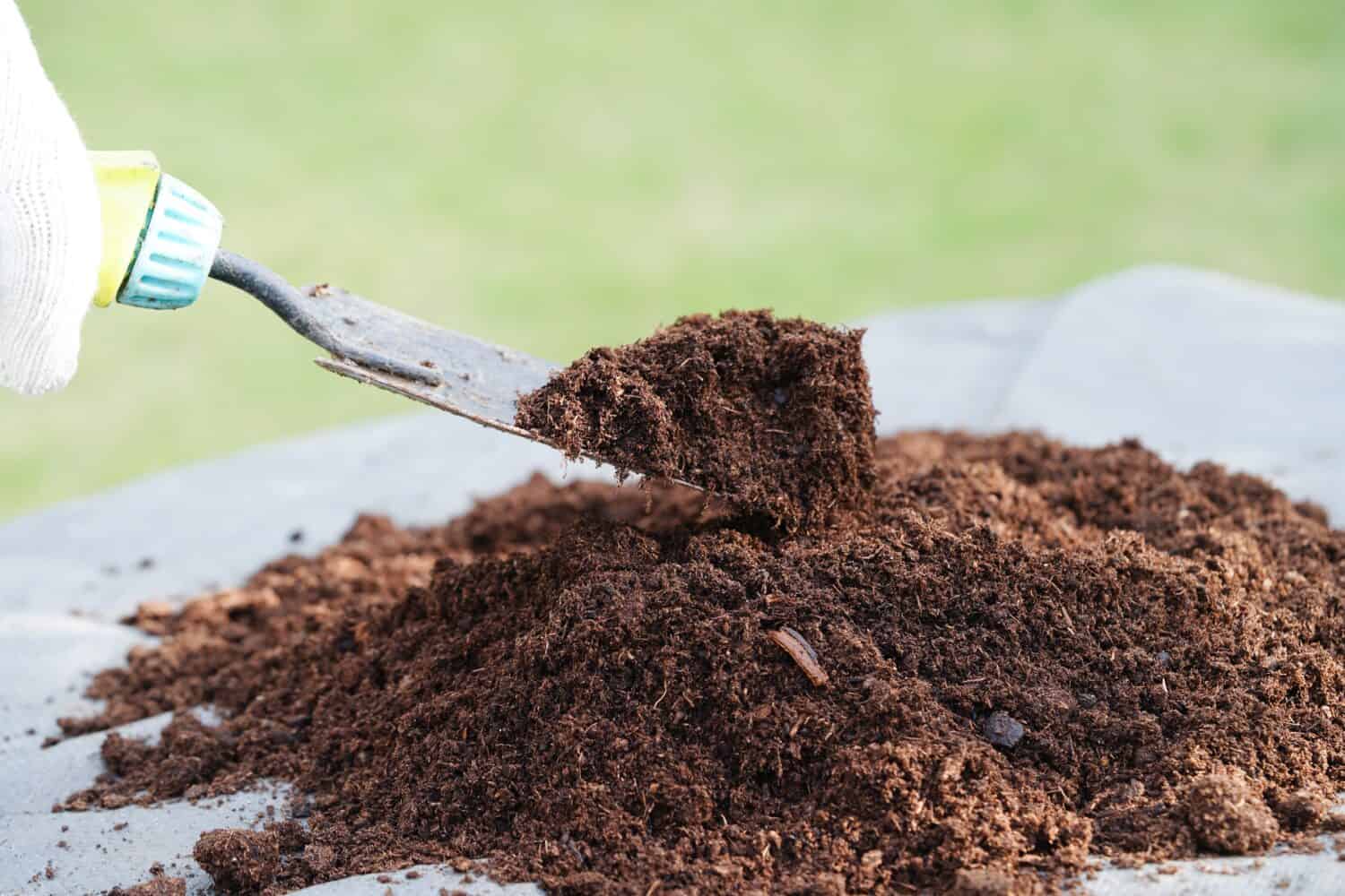 Benefits of Peat Moss