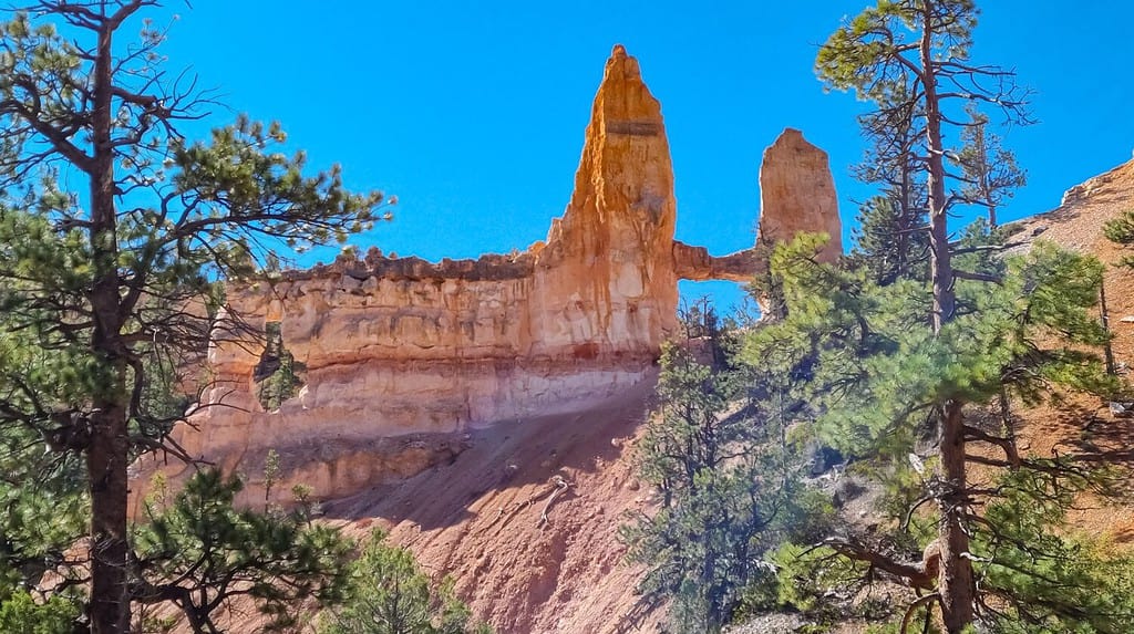 Scenic view of Hoodoo rock formation called Tower Bridge from Fairyland Trail in Bryce Canyon National Park, Utah, USA, United States of America. Natural Arch bridge in unique landscape. Pine trees