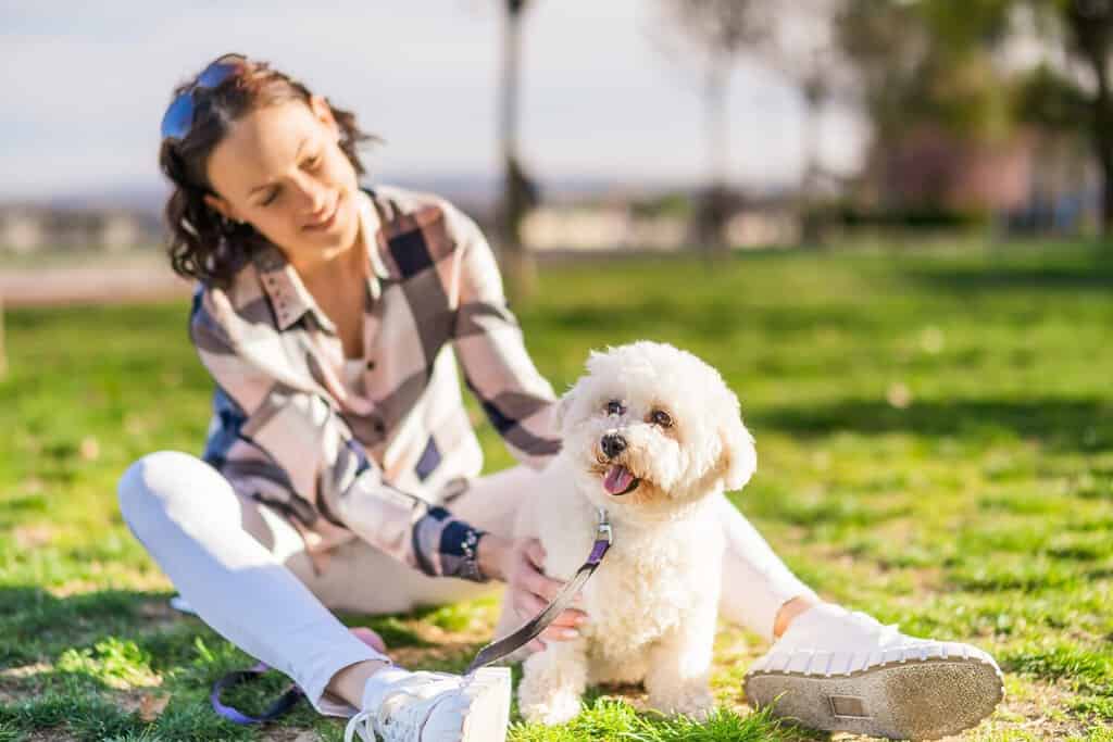 A woman playing with her Bichon Frise. 
