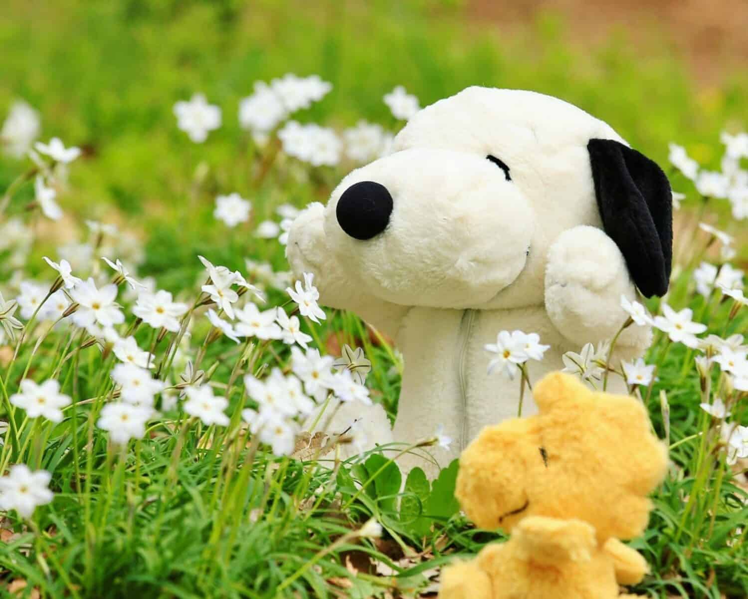 Sekiguchi Snoopy Retrons Snoopy is in the flower garden