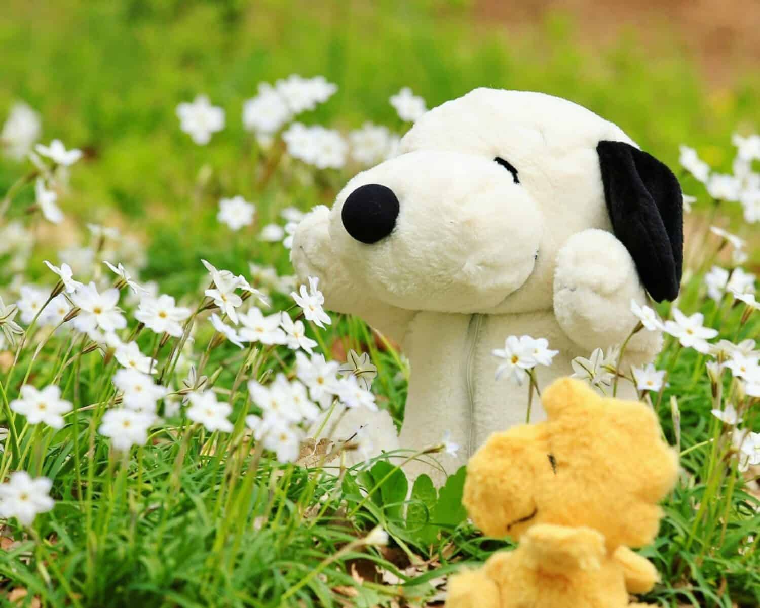 Sekiguchi Snoopy Retrons Snoopy is in the flower garden