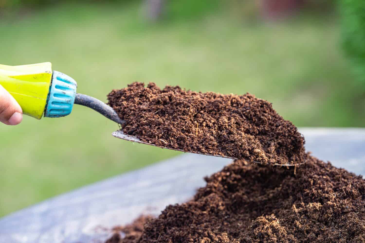 Sphagnum Moss vs. Peat Moss: What's the Best Growing Medium for