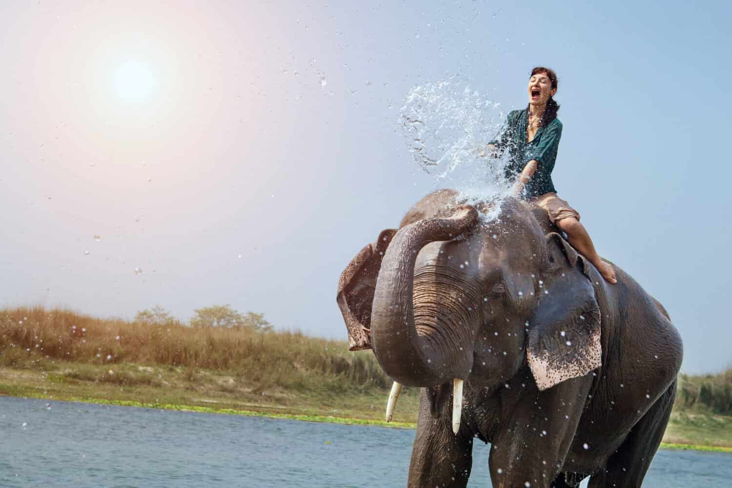 Beautiful girl is having a shower with the elephant. 