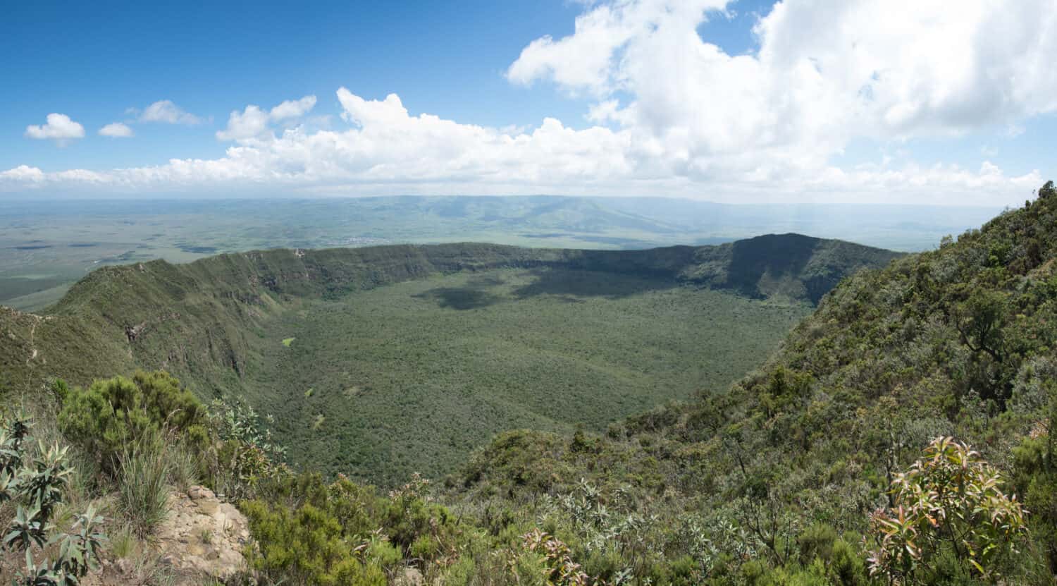 On the rim of the caldera on the Longonot volcano, rift valley, Mount Longonot National Park, Kenya.