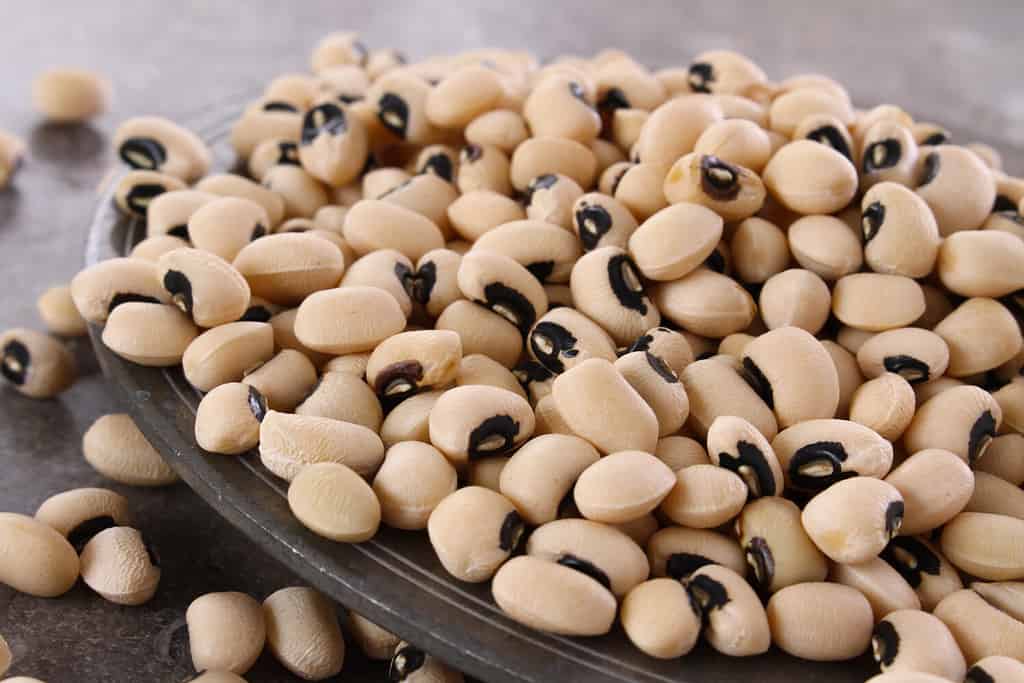 loose dried black eyed peas beans