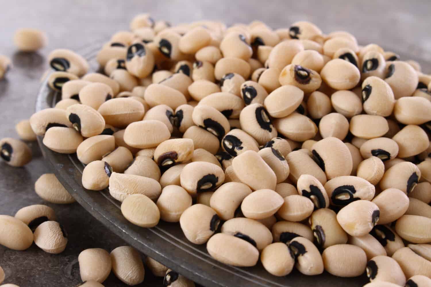 Legume symphony: Black-eyed peas, with their creamy texture and earthy flavor, harmonize beautifully in diverse dishes, lending a touch of wholesome comfort and a burst of protein-packed goodness.
