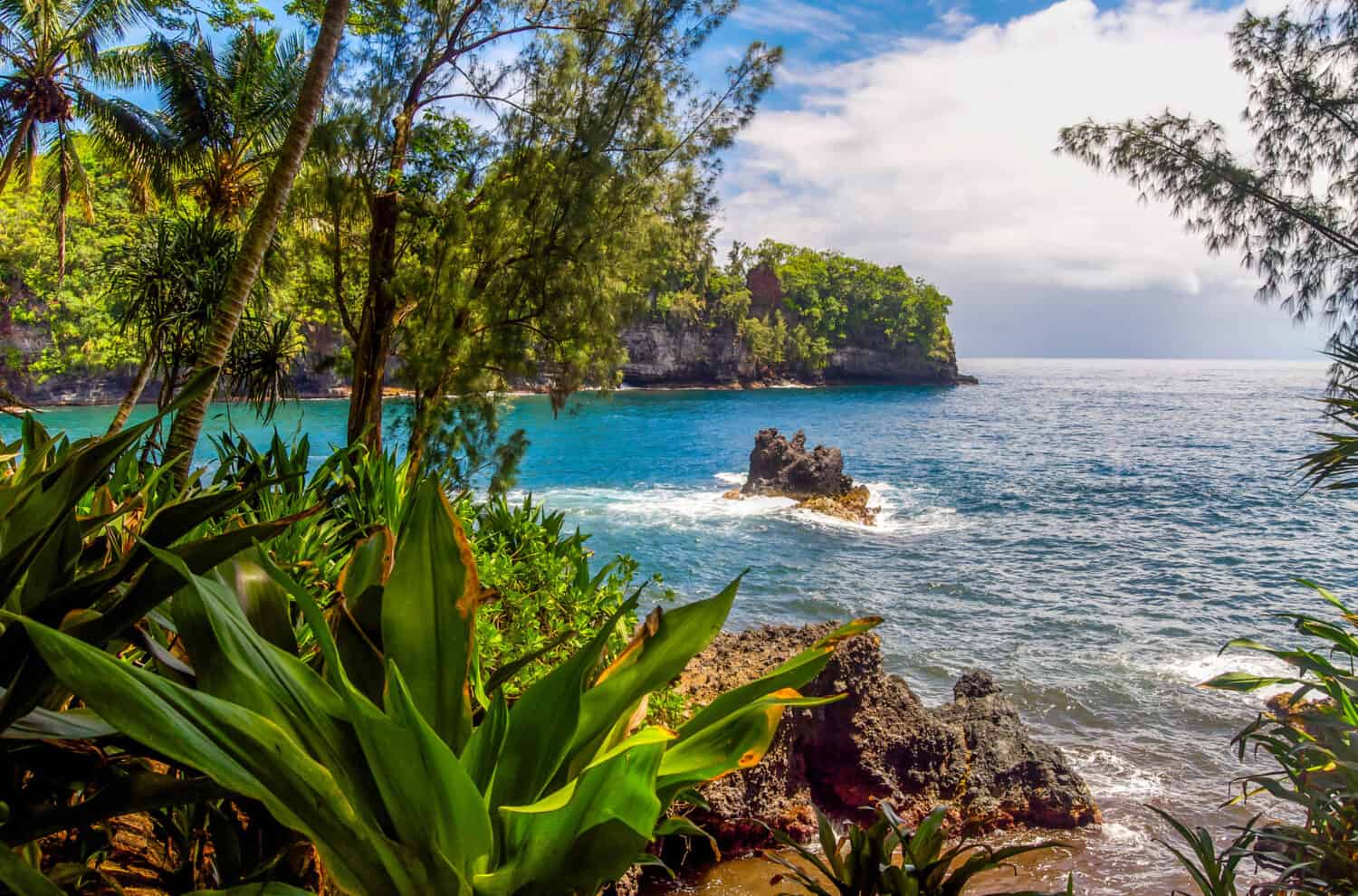 An opening in the rain forest near Hilo, Hawaii on a rocky beach shore reveals high cliffs overlooking the vast blue Pacific Ocean.