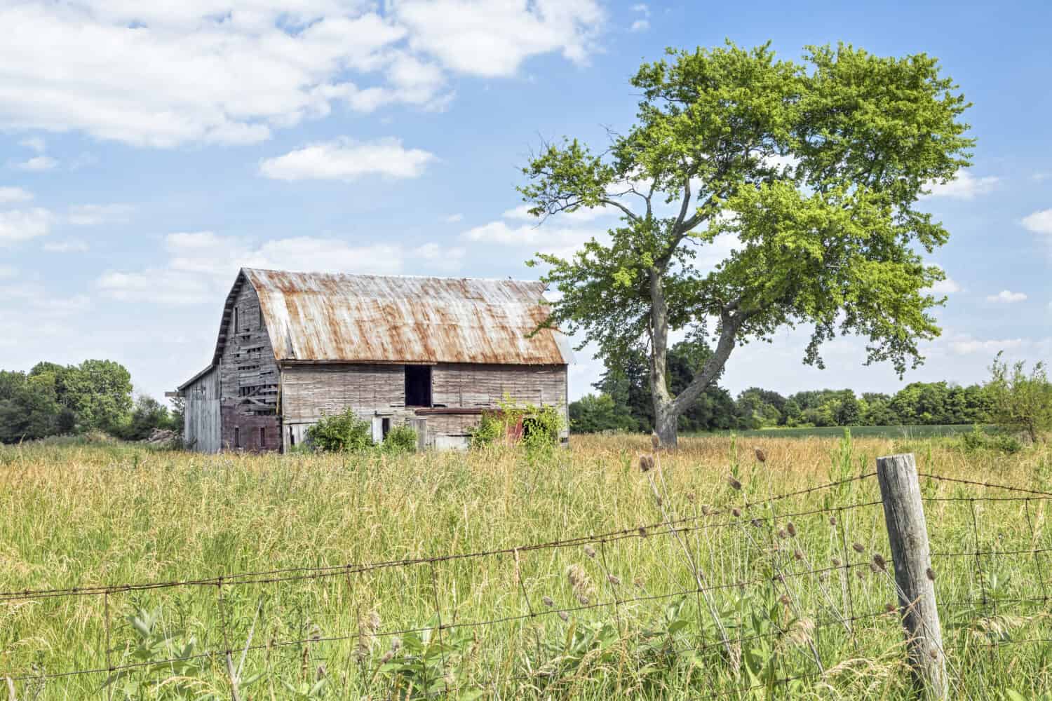 A rustic old barn stands by a weathered old tree in rural Madison County, Ohio.