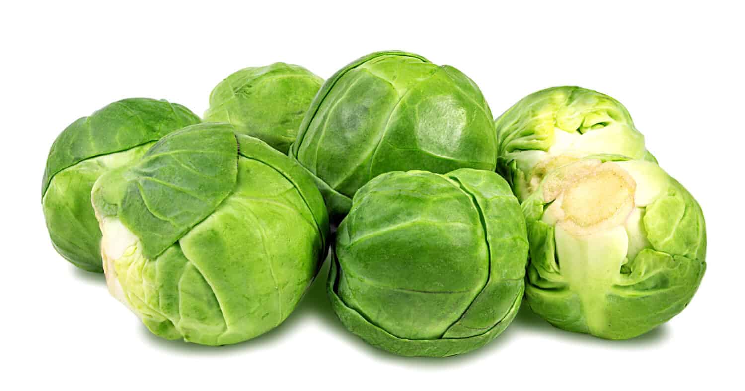 "Miniature marvels of the garden: Brussels sprouts, nestled in their leafy embrace, reveal their compact charm and distinctive flavor, inviting a delightful journey of culinary exploration.