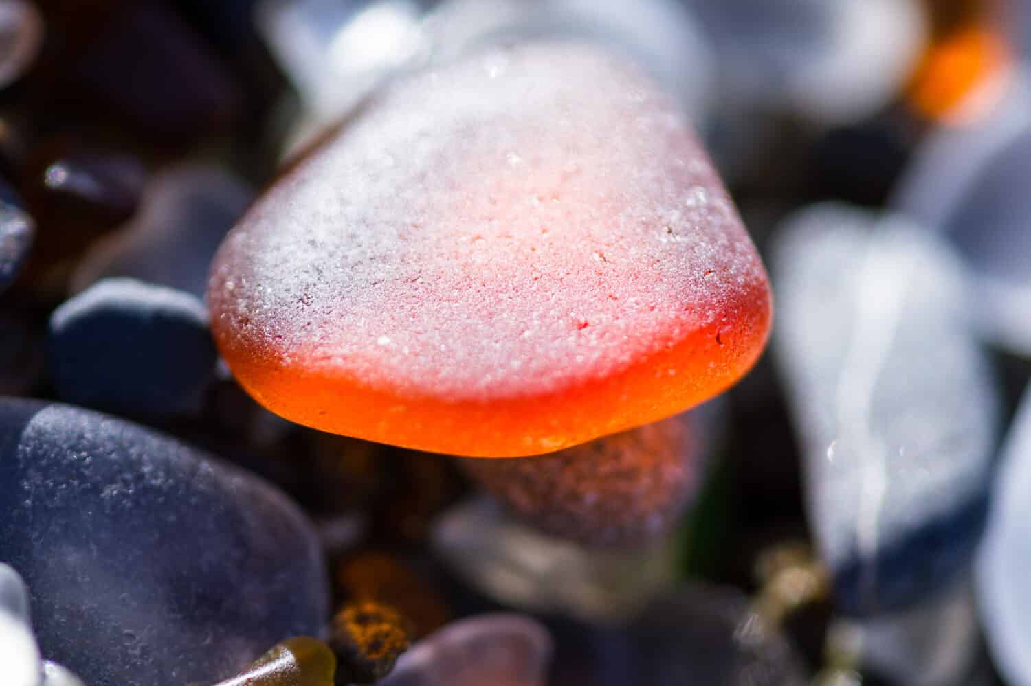macro of a colorful group of sea glass pieces under bright sunshine