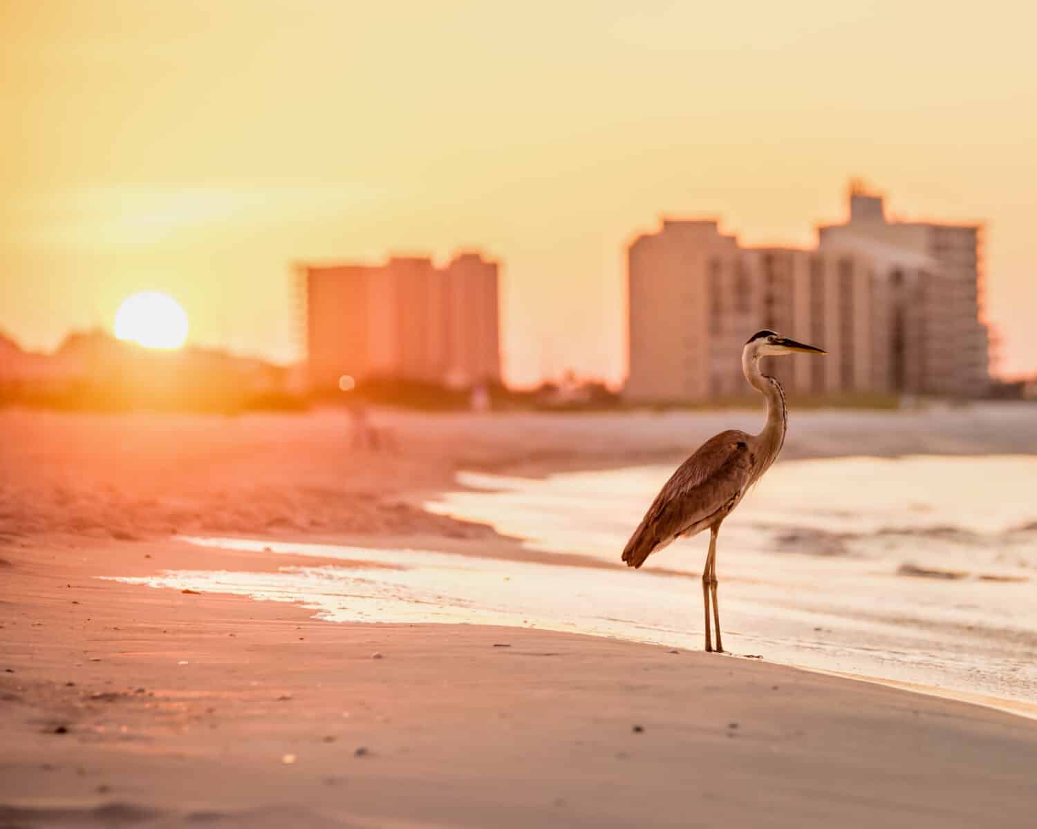 A photo of a beach during sunset. 