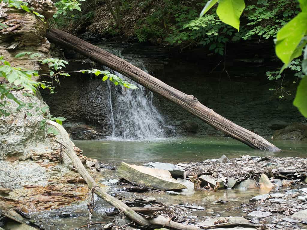 Small Waterfall with a tree in front in a Delaware County Park in Ohio