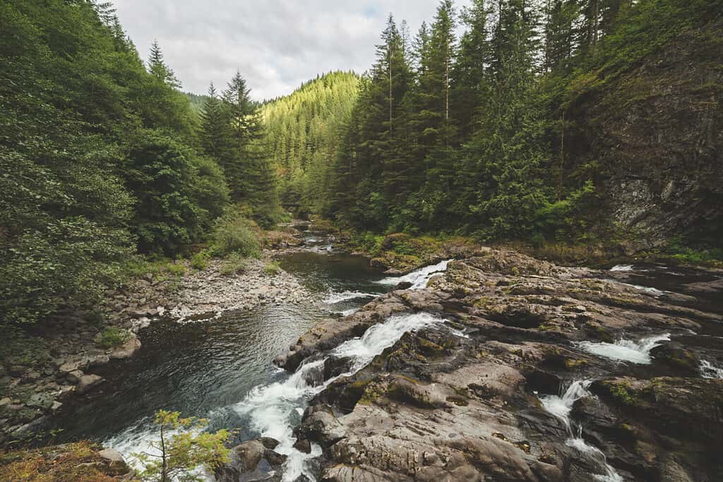 Forest river landscape in Washougal, Washington, USA.