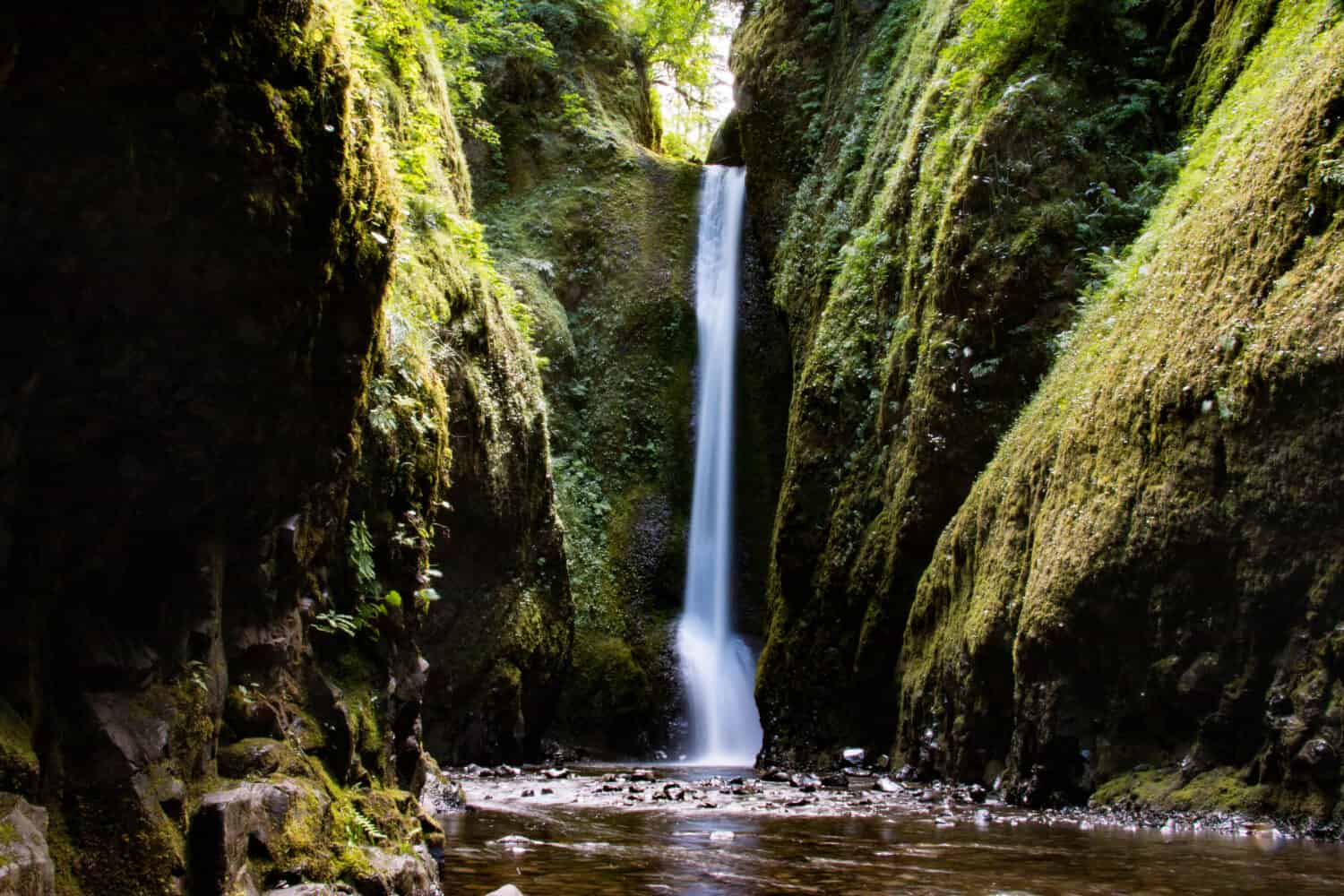 Waterfall in Oneonta Gorge in the Columbia River Gorge in the American state of Oregon.