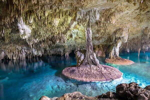 The 16 Best Tulum Swimming Holes - A-Z Animals