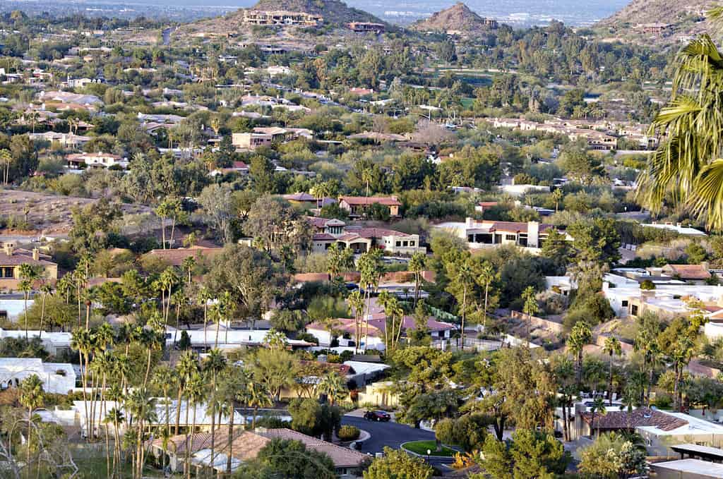 Phoenix,AZ, Paradise Valley landscape