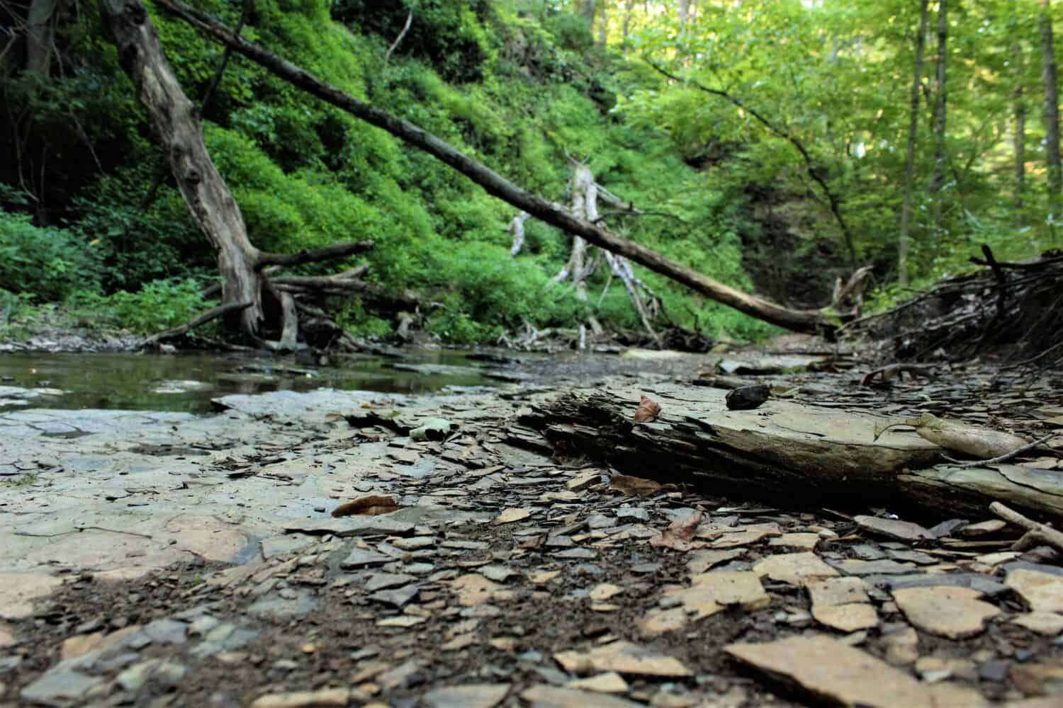 Shale Hollow Park, Lewis Center, Ohio