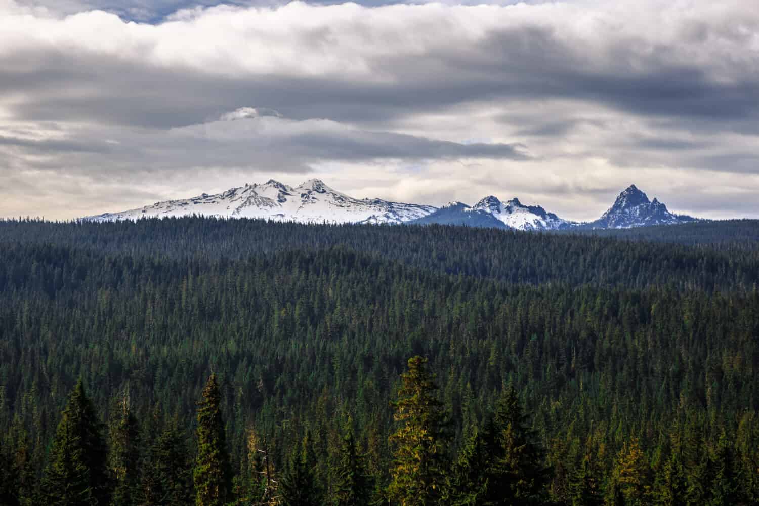 Diamond Peak Over the Forest, Oregon