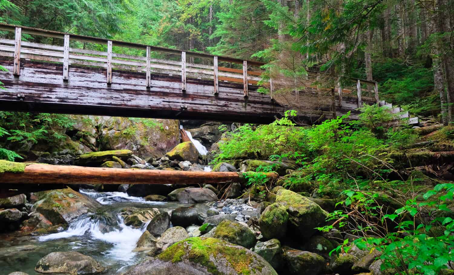 A Bridge and Lush Forest Near The Snoqualmie River. North Bend, Washington