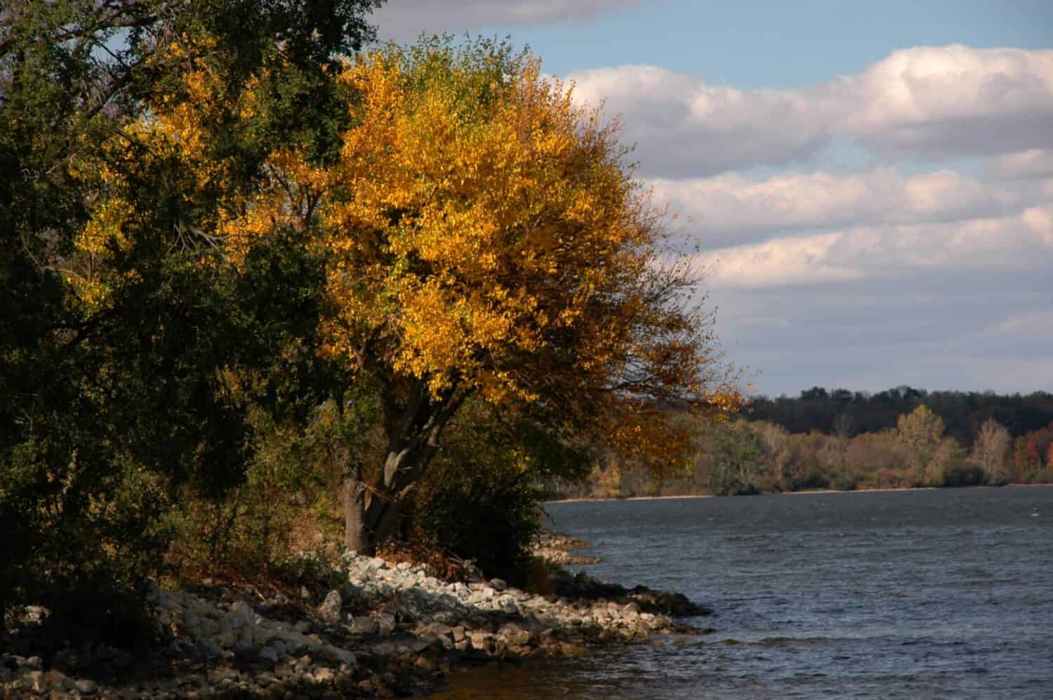 Clarence J. Brown Dam and Reservoir