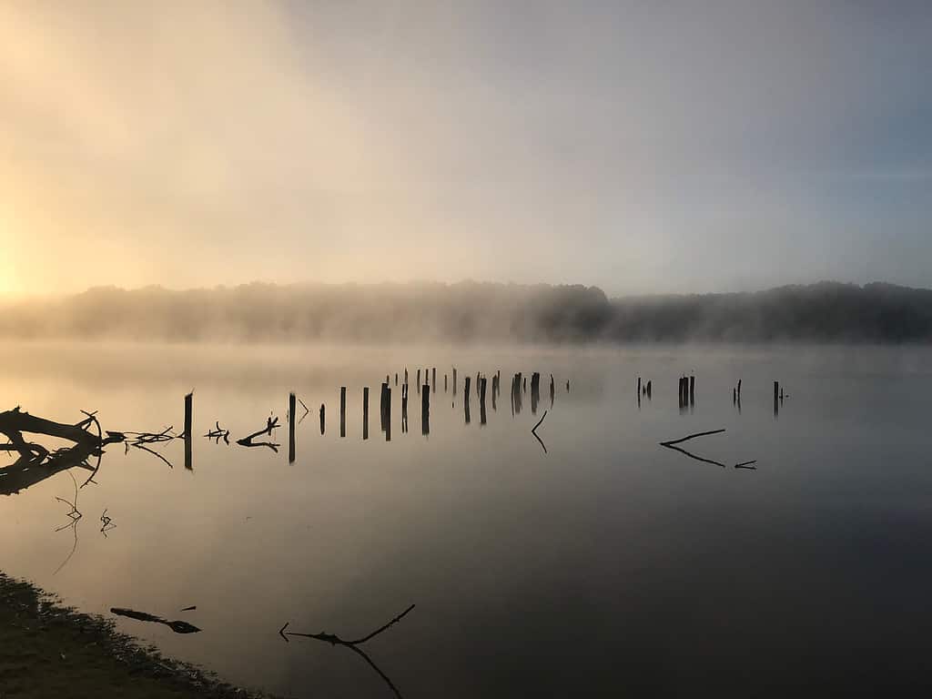 Foggy Morning on Lake