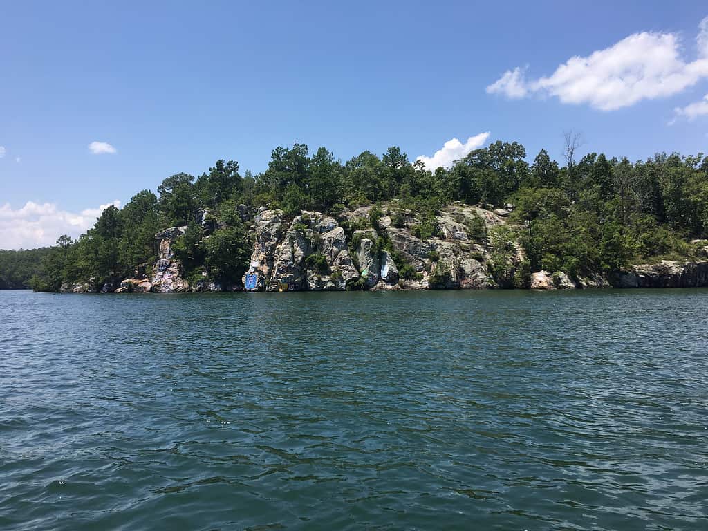 Lake Martin in Alabama