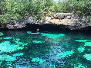 What You Need to Know About the Cenotes in Mexico Picture