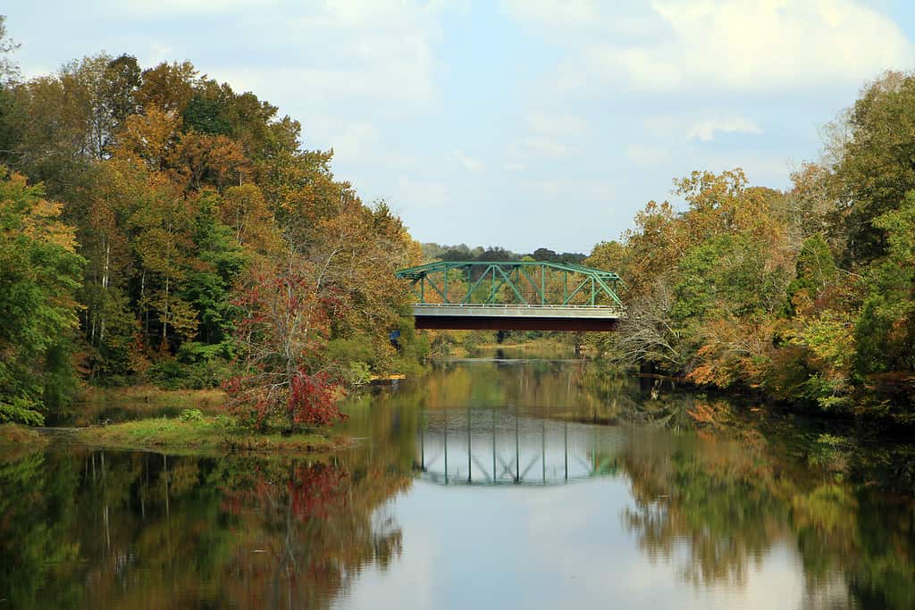 Duck river near Manchester Tennessee , Fall !