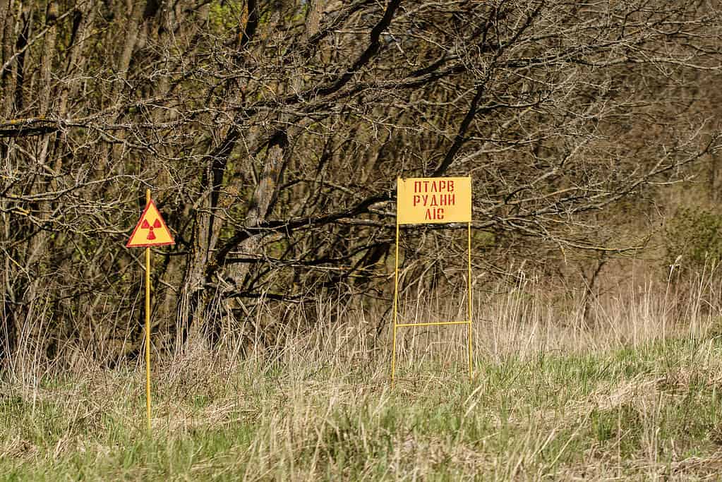 sign in Chernobyl. Added "contamination. Red Forest"