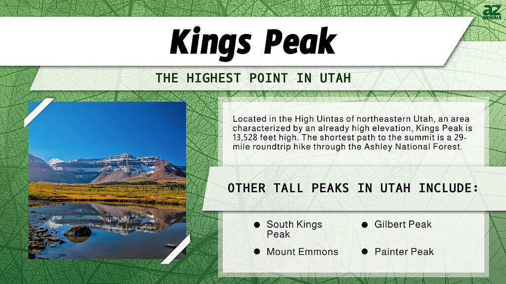 Infographic of Kings Peak