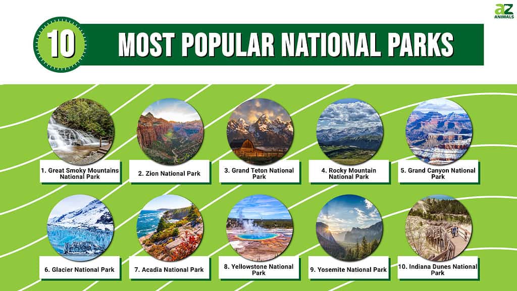 Discover the 10 Most Popular National Parks (And When to Avoid Crowds ...