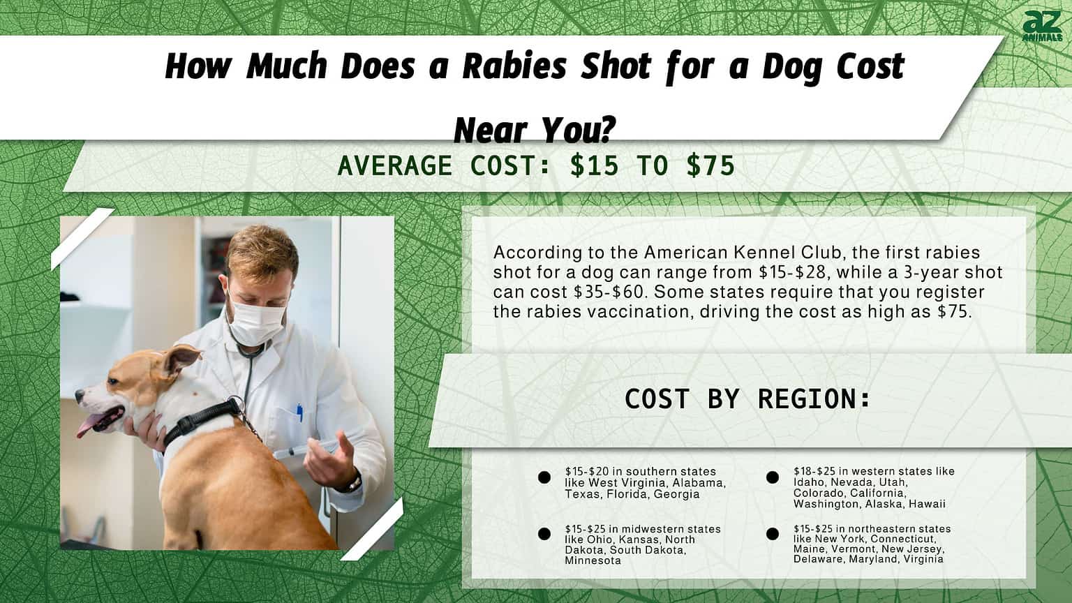 Rabies Distemper And Bordetella Cost