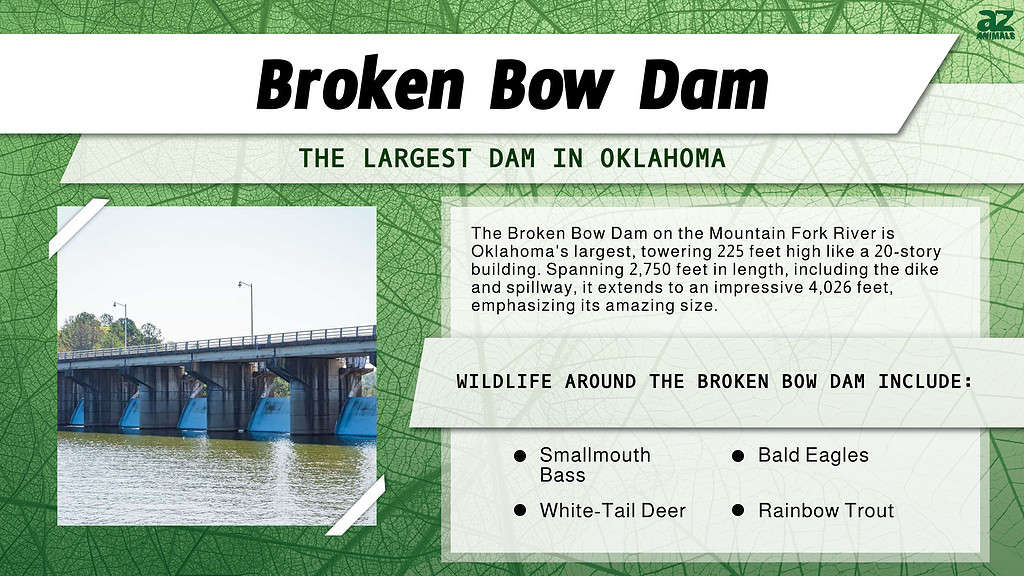 Broken Bow Dam infographic