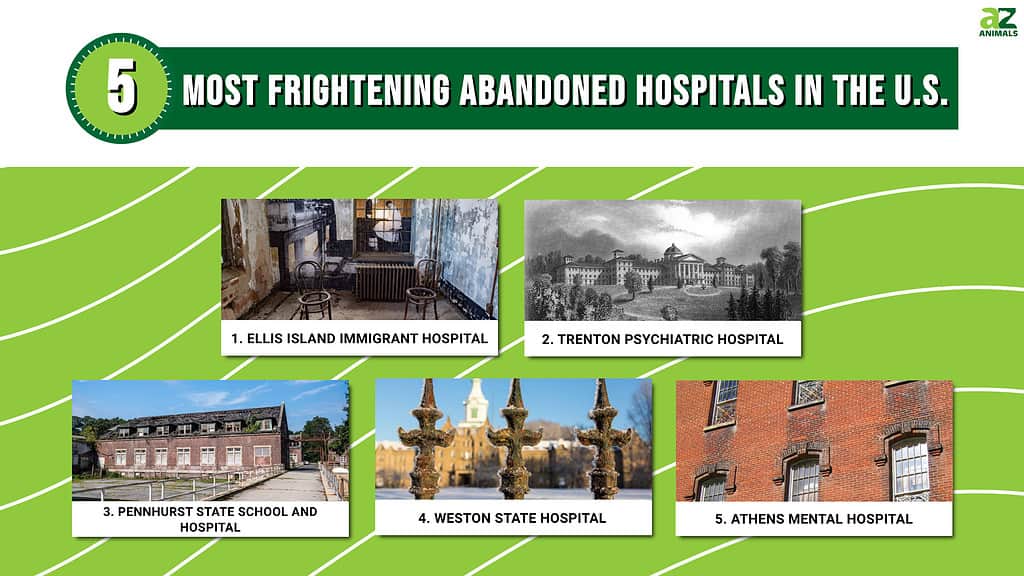 Infographic of 5 Most Frightening Abandoned Hospitals in the U.S.