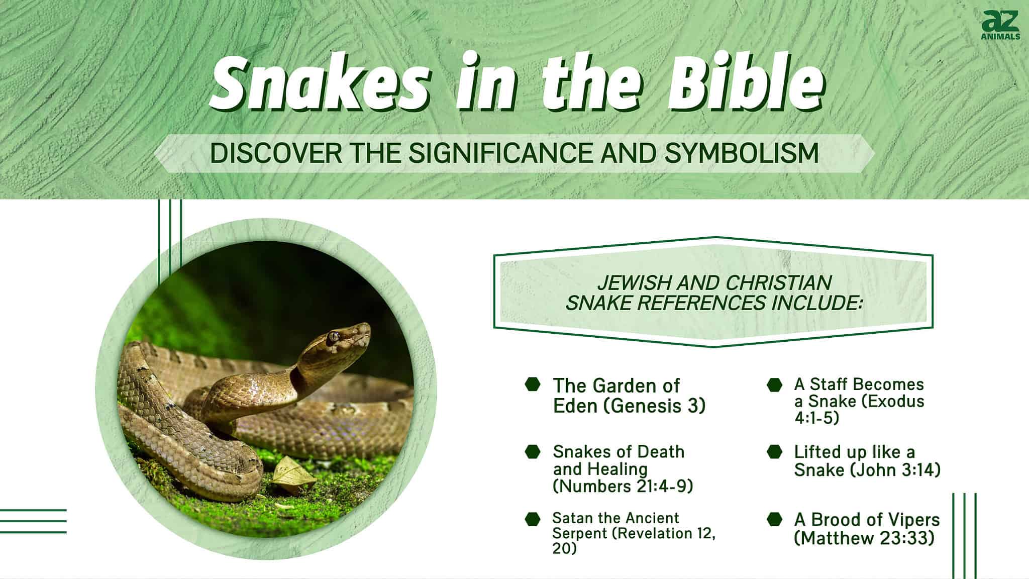 Discover the Significance and Symbolism of Snakes in the Bible AZ Animals