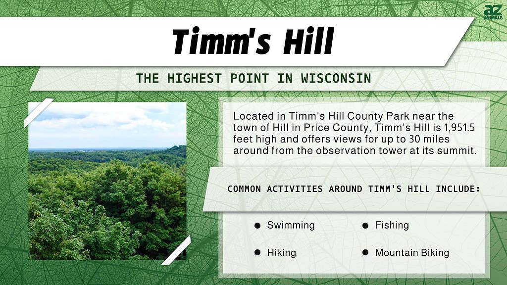 Infographic of Timms Hill