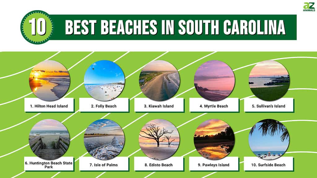 These are 10 of the best beaches in South Carolina