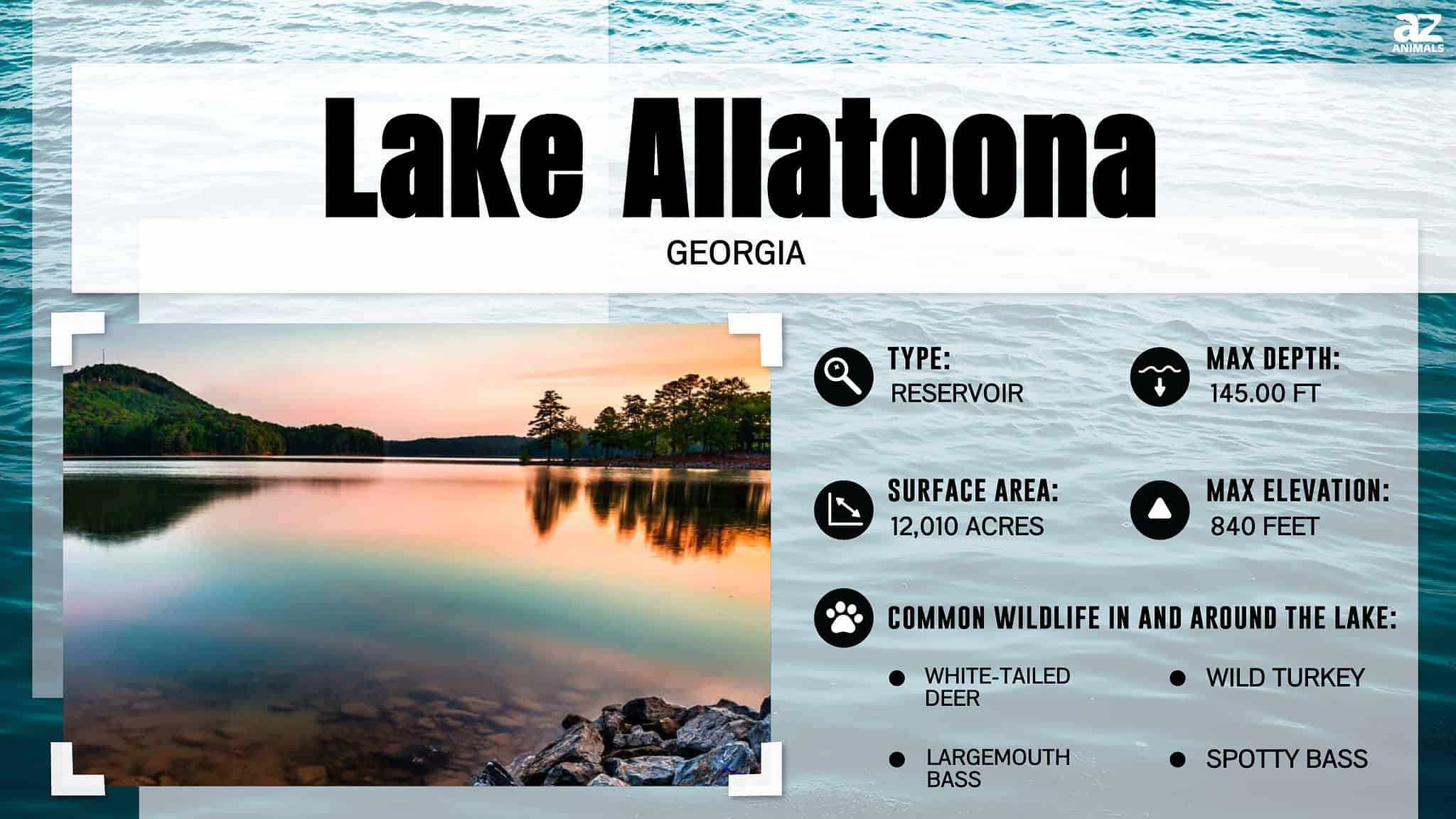 How Wide Is Lake Allatoona? AZ Animals