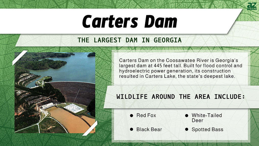 Infographic of Carters Dam