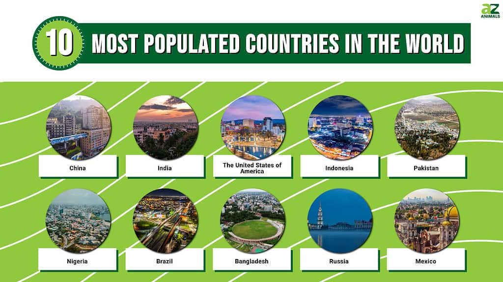 Picture graph of the 10 Most Populated Countries in the World