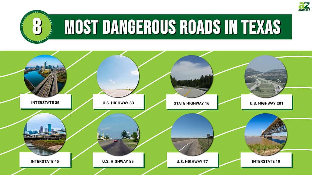 Most Dangerous Roads in Texas infographic