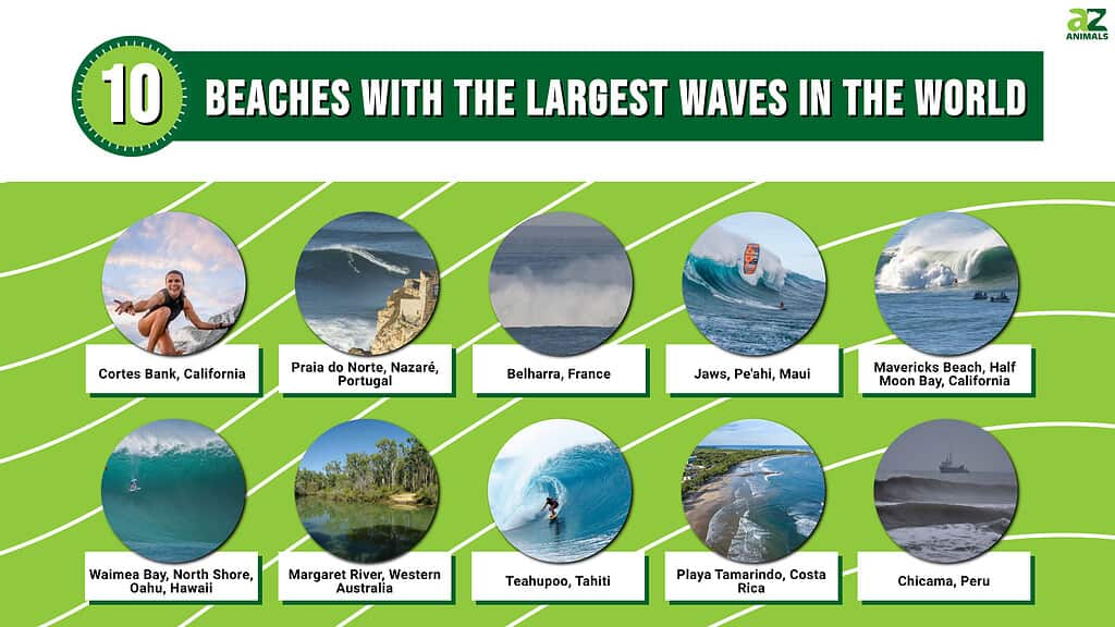 10 Beaches With the Largest Waves in the World