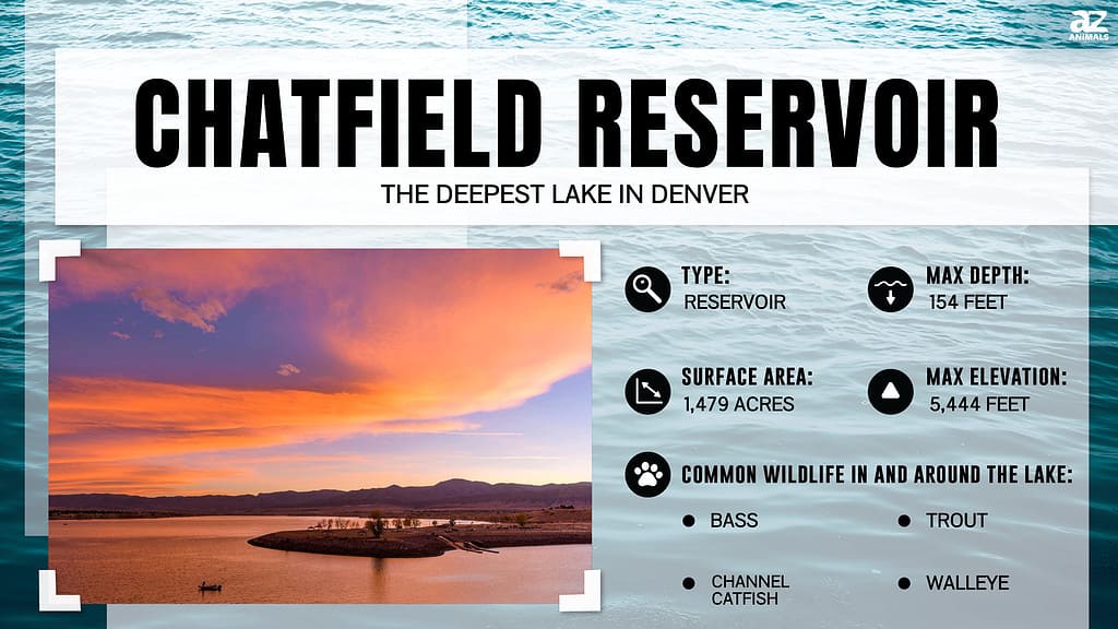 Infographic of Chatfield Reservoir 