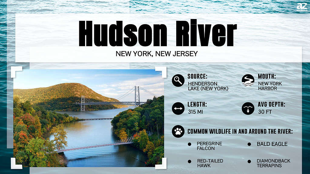 Infographic about the Hudson River.
