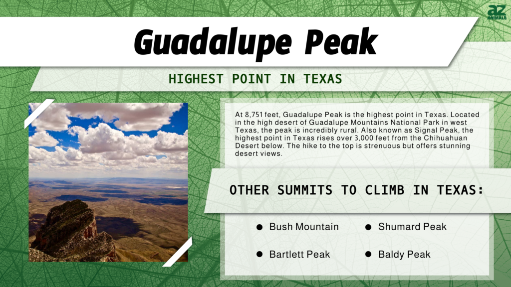 Guadalupe Peak is the Highest Point in Texas