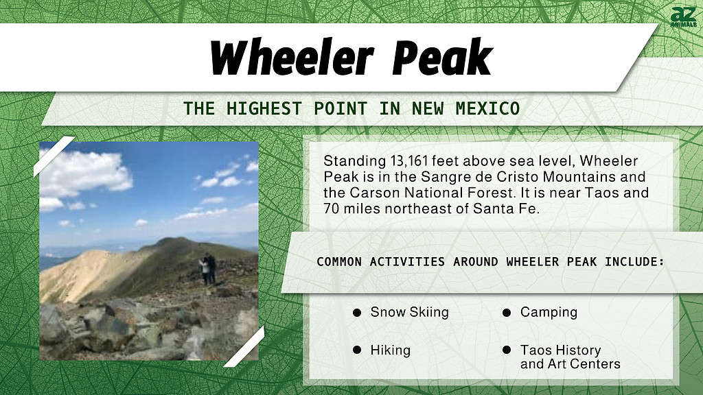 Infographic for Wheeler Peak in New Mexico