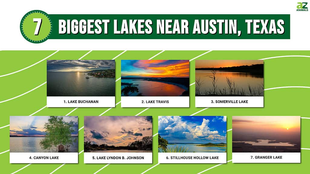 Infographic of 7 Biggest Lakes Near Austin, Texas