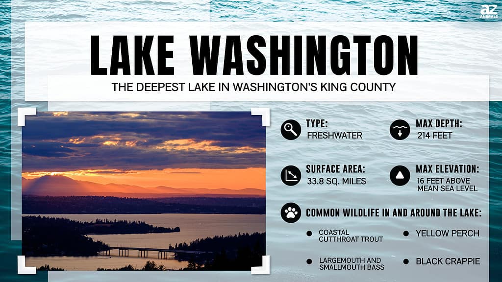 Infographic of Lake Washington