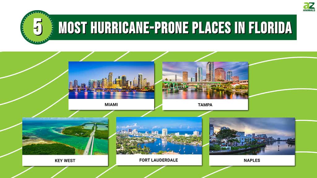 5 Most Hurricane-Prone Places in Florida